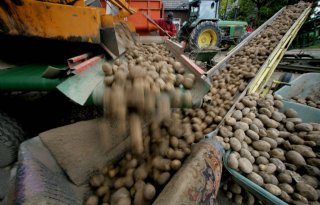 Aardappeltermijnmarkt+zakt+door+30+euro+grens