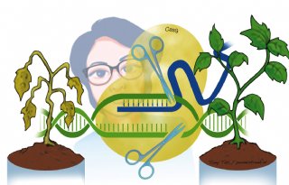 Wetenschappers+starten+petitie+tegen+uitspraak+Crispr%2DCas