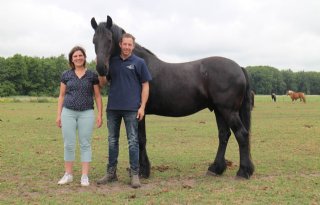 Belastingdienst+straft+dierenwelzijn+af