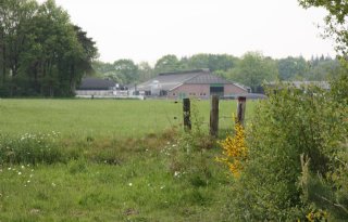 Term+%27zombiegrond%27+overrompelt+boeren+Bronckhorst