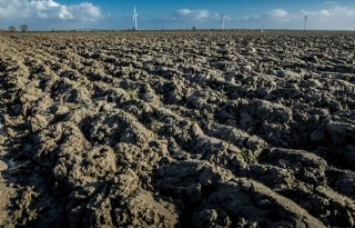 %27Zombiegrond%27+staat+voor+meer+dan+grond+alleen