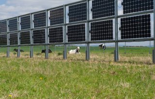 Rijksadviseur+wil+wachten+met+zonneparken+op+landbouwgrond
