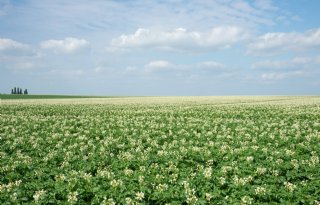LTO%3A+klimaatdoelen+onderdeel+van+grotere+opgave