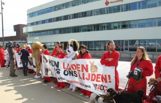 Coalitiepartijen+willen+geen+onnodige+dierproeven
