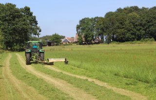Houtwaldiscussie+heeft+maar+klein+vonkje+nodig