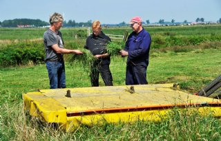 Bij+Veldman+gaat+weidevogelbescherming+voor