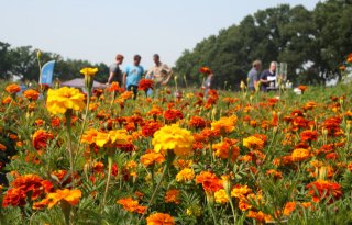 PlantValue+wil+maximale+uit+planten+halen