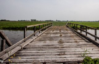 Stivas+loopt+verder+vooruit+op+kavelruildoelen
