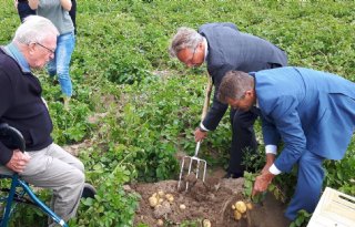 Primeuraardappel+uit+polder+naar+koninklijke+keuken