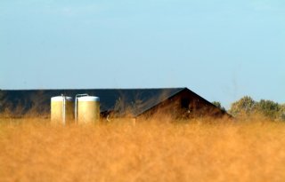 Nog+veel+losse+eindjes+in+vitaliseringsakkoord