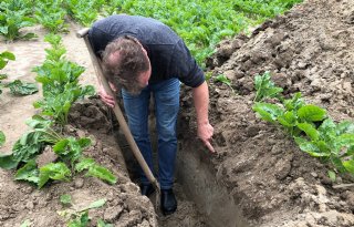 Flevoland+steunt+bodemproject+met+464%2E000+euro