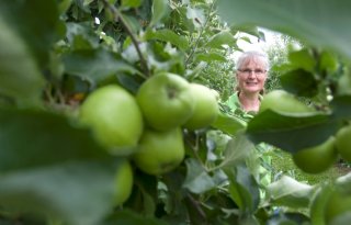 %27Het+smaakvolste+fruit+van+het+jaar%27