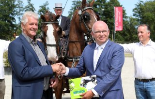 Westerkwartier+lonkt+naar+paarden