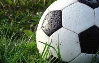 Bergen+geeft+bal+geen+voorrang+meer+boven+bol