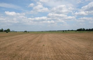LTO+maant+Brussel+en+LNV+tot+spoed+met+droogtemaatregelen