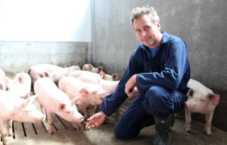 Van+zeugen+naar+6%2E000+vleesvarkens