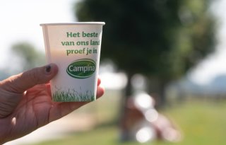 %27Oude+koeien%27+Campina+genomineerd+als+Liegebeest