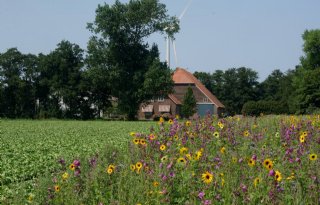 Schouten+wil+zuinig+zijn+op+landschapselementen
