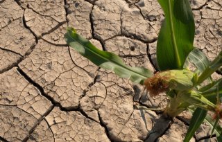 600+miljoen+euro+voor+aanpak+klimaatverandering