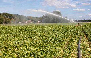 Droogtemaatregelen+blijven+van+kracht