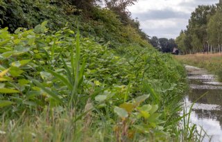 Kritiek+op+Limburgse+waterschapsbelasting