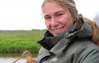 Klimaatverandering+heeft+soms+grip+op+grutto