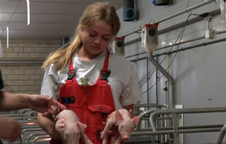 Groen+onderwijs+in+Oost%2DNederland+investeert+drie+miljoen