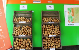 Demoproef+toont+wisselend+effect+variabel+planten