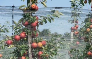 550%2E000+euro+voor+jonge+boeren+in+Noord%2DHolland