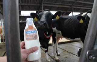 Melk+rechtstreeks+van+de+boer+naar+de+super