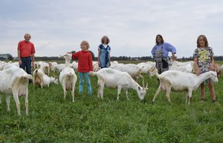 Drietal+redt+Drentse+geitenboerderij+Hansketien