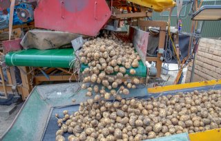 Bestemmingen+leidend+bij+notering+PotatoNL