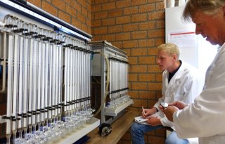 Flevolandse+telers+gebruiken+onderzoekstechniek+in+het+veld
