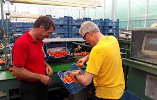 Vlaamse+ministers+op+stage+bij+boeren+en+tuinders