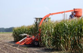 Droogte+geeft+goed+beeld+proefveld