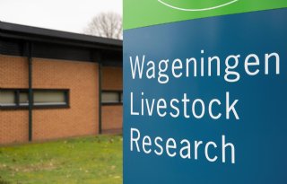 VIC+Sterksel+stopt%2C+maar+varkensonderzoek+blijft