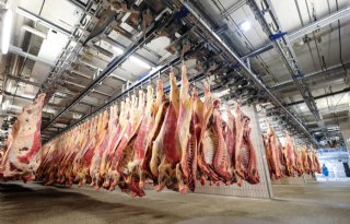Vion+heropent+runderslachterij+in+Beieren