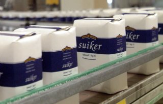 Suikermarkt+kruipt+voorzichtig+uit+dal