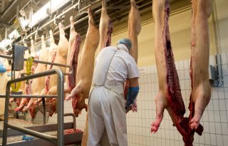 Export+varkensvlees+haalt+iets+aan