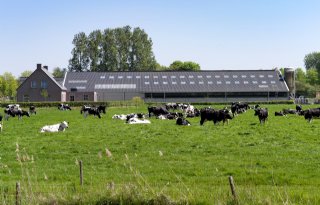 Huiskavelnorm+leidt+tot+landhonger