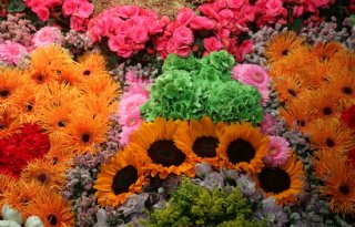 Zomerbloemententoonstelling+trekt+15%2E000+bezoekers