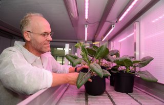 City+farming+leidt+tot+ander+onderzoek