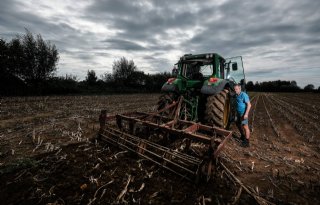 Eerste+mais+gehakseld+en+land+voorbereid+op+graszaai