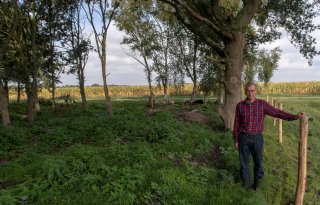 Gedeputeerde+zet+Veluwe+niet+vol+wolvenhekken