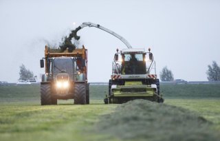 Veelal+vier+grassnedes+in+plaats+van+zes