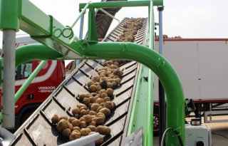 Aardappelmarkt+volledig+in+balans