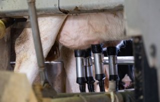 Melk+drinken+teken+van+%27blanke+overheersing%27