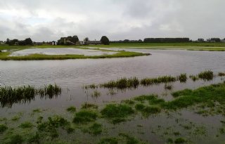 Waterberging+in+baggerdepot+melkveehouder+vangt+pieken+op