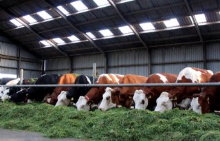 Project+maakt+melkveebedrijven+energieneutraal