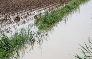 Werving+oevers+waterberging+rond+A27+start